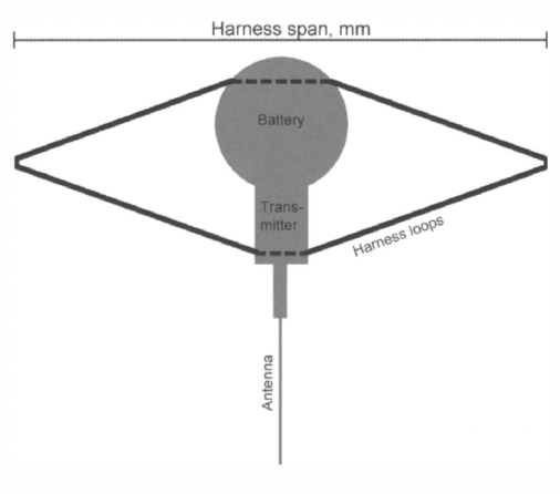 Loop Harness